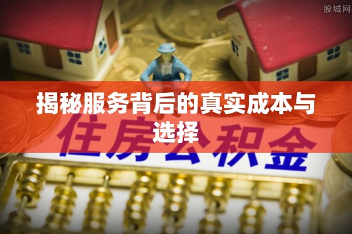 宣化揭秘服务背后的真实成本与选择