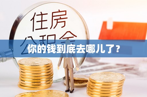 宣化你的钱到底去哪儿了？