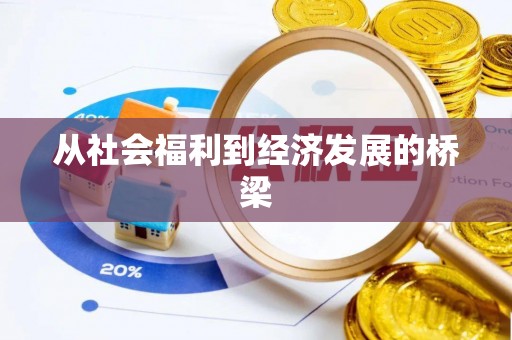 宣化从社会福利到经济发展的桥梁