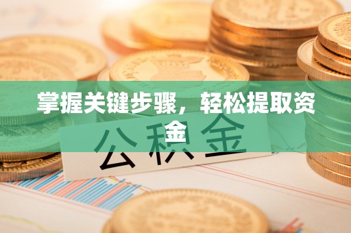 宣化掌握关键步骤，轻松提取资金