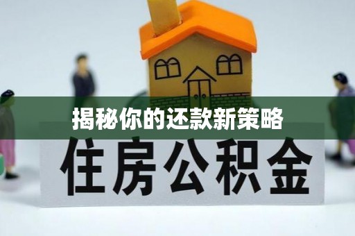 宣化揭秘你的还款新策略