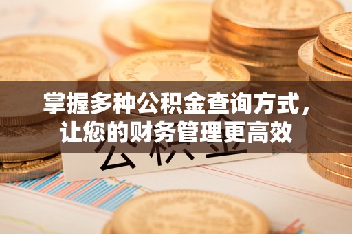 宣化掌握多种公积金查询方式，让您的财务管理更高效