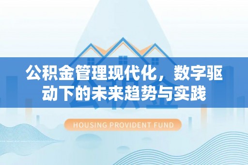 宣化公积金管理现代化，数字驱动下的未来趋势与实践