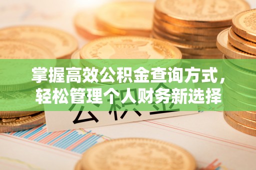 宣化掌握高效公积金查询方式，轻松管理个人财务新选择