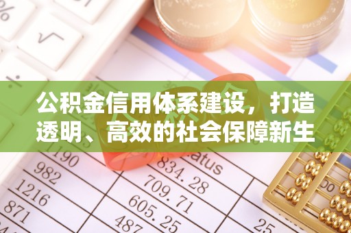 宣化公积金信用体系建设，打造透明、高效的社会保障新生态