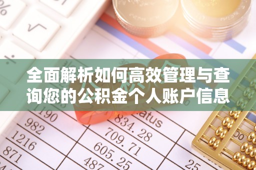 宣化全面解析如何高效管理与查询您的公积金个人账户信息