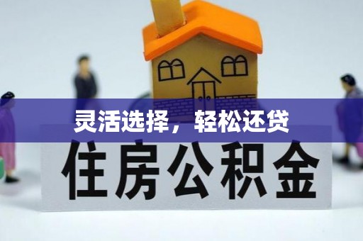 宣化灵活选择，轻松还贷