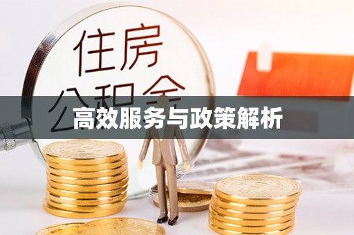 宣化高效服务与政策解析