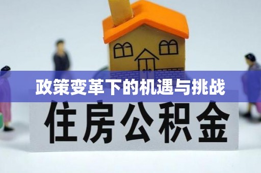 宣化政策变革下的机遇与挑战