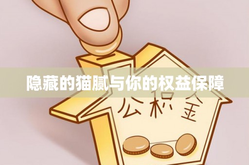 宣化隐藏的猫腻与你的权益保障