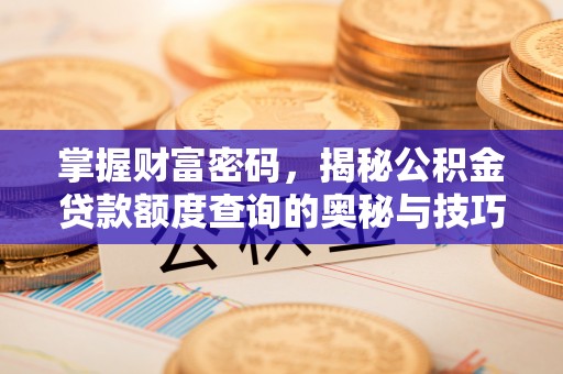 宣化掌握财富密码，揭秘公积金贷款额度查询的奥秘与技巧