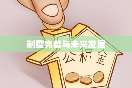 宣化制度完善与未来发展