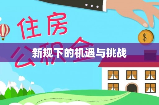 宣化新规下的机遇与挑战