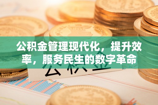 宣化公积金管理现代化，提升效率，服务民生的数字革命