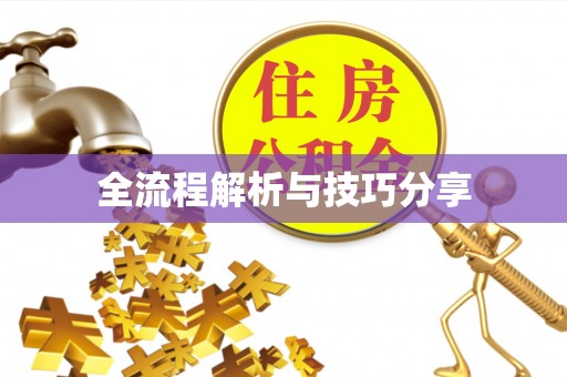 宣化全流程解析与技巧分享