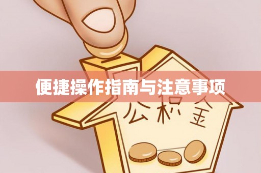 宣化便捷操作指南与注意事项