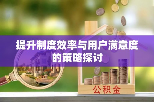 宣化提升制度效率与用户满意度的策略探讨