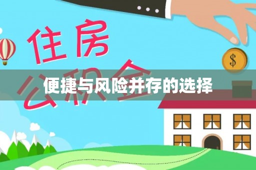 宣化便捷与风险并存的选择
